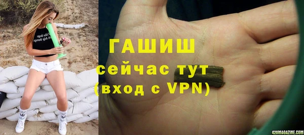 гидра Вязьма