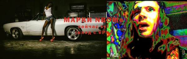 гидра Вязьма
