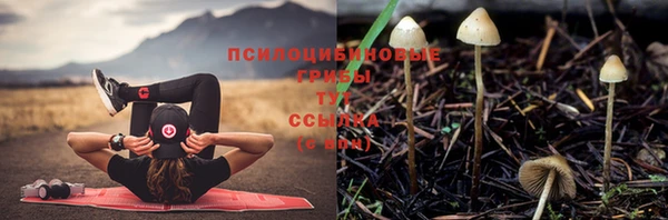 дживик Горнозаводск