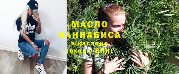 гидра Вязьма
