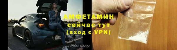гидра Вязьма