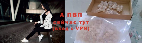 гидра Вязьма