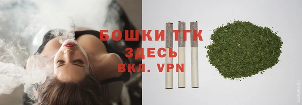 гидра Вязьма
