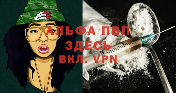 гидра Вязьма